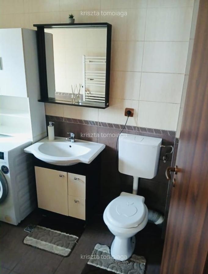 Apartament  43 mp utili plus balcon ,parter inalt , strada Stejarului - 6