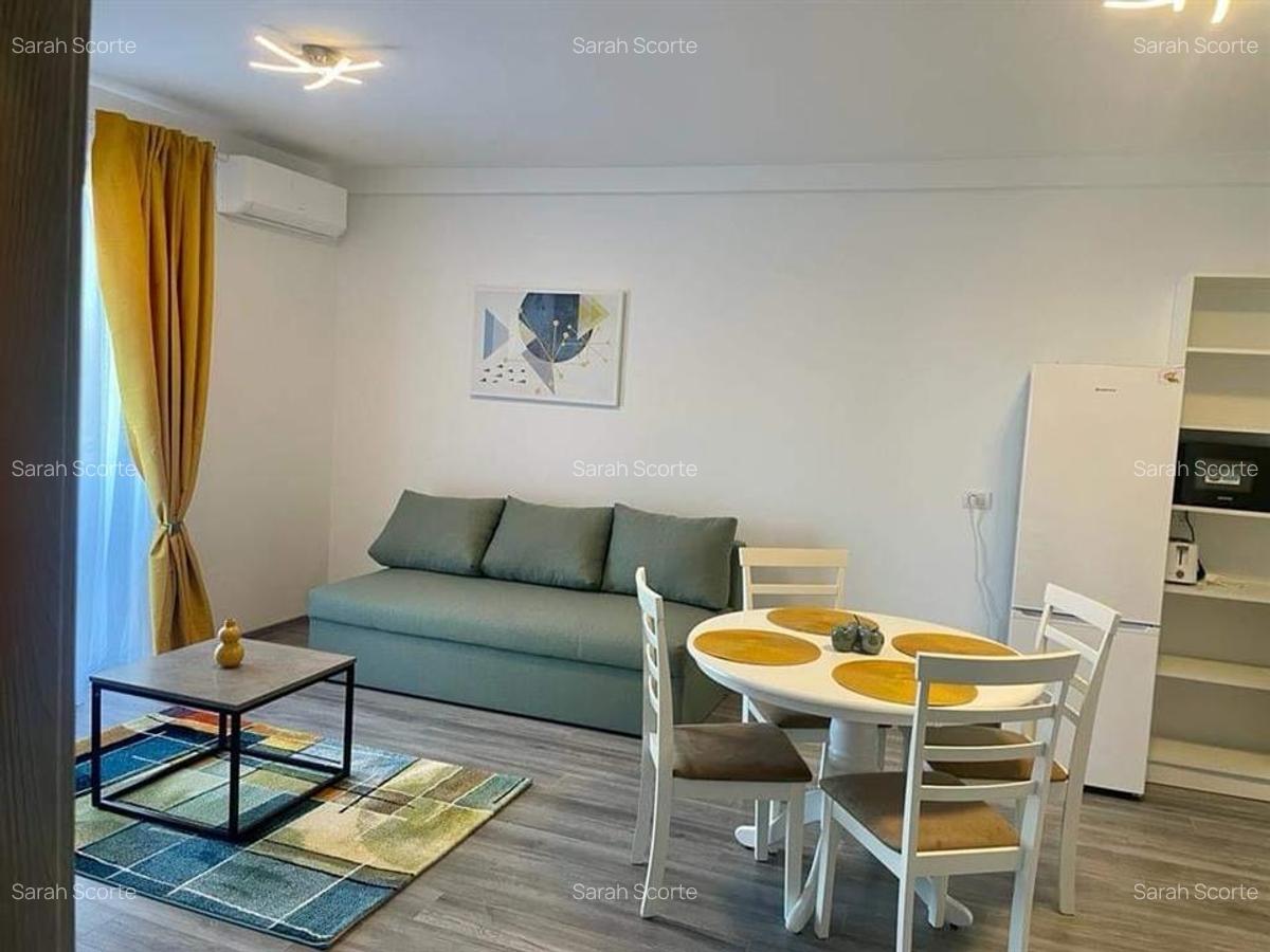 RECO Apartament studio in Baile Felix - 7