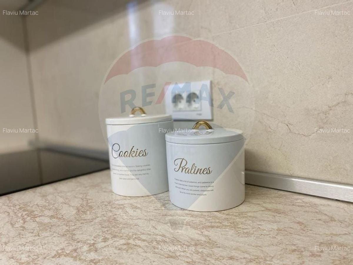 Apartament nou cu 2 camere + curte - de inchiriat in zona Pacii - 10