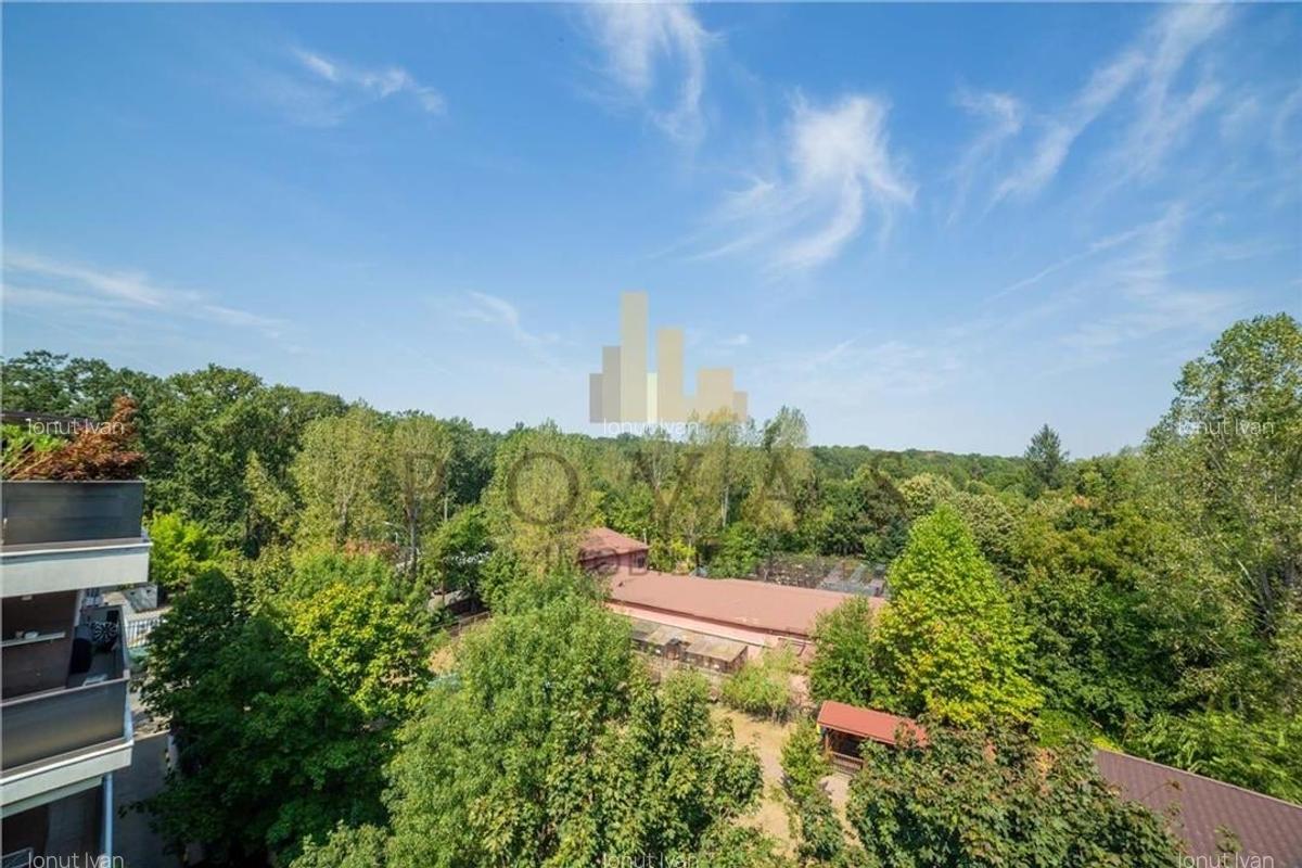 Inchiriere Apartament 3 Camere Erou Iancu Nicolae - 16