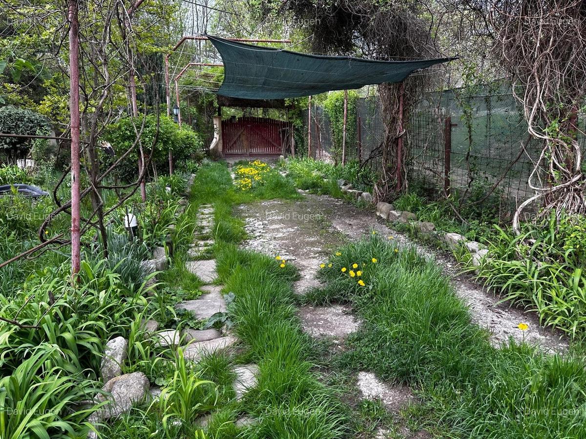 Locuinta de vacanta / rezidentiala - - 21