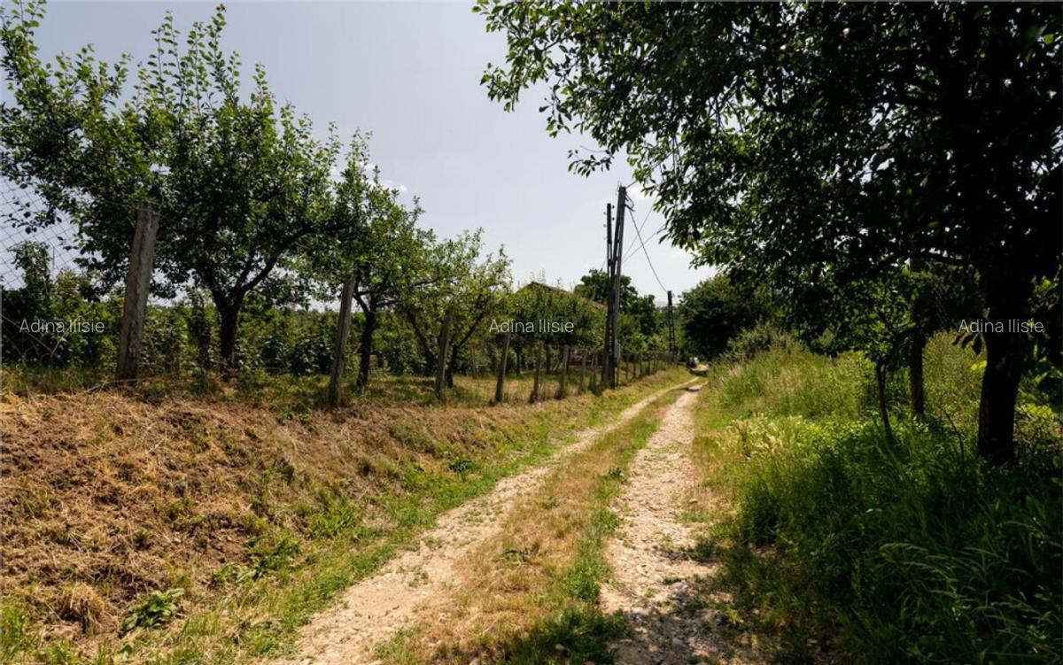 RECO Teren intravilan 1200 mp- front 30ml ,cu utilitati, Pa - 17