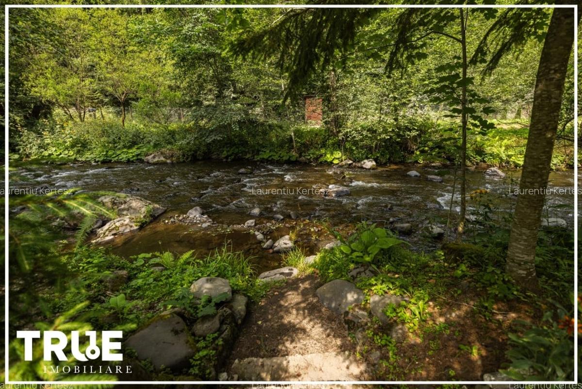 Cabană de vânzare, 95m? utili, teren 1276m?, Sălard! - 21