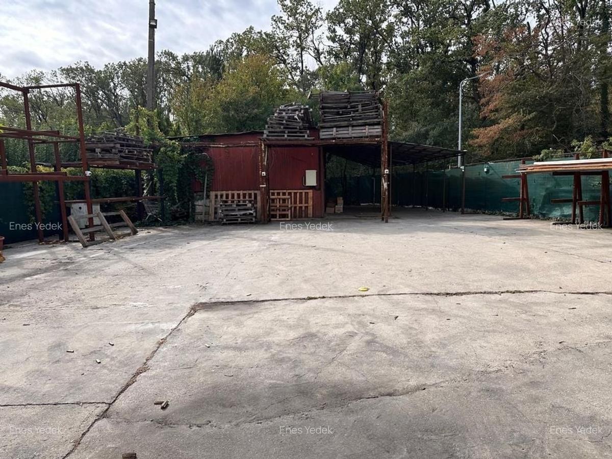 HALA INDUSTRIALA | 850 mp + 350 mp birouri | Zona Baneasa – Greenfield - 4