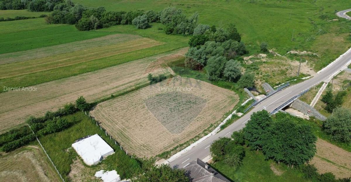 DE VANZARE TEREN INTRAVILAN ?omcuta Mare (0% comision) - 5