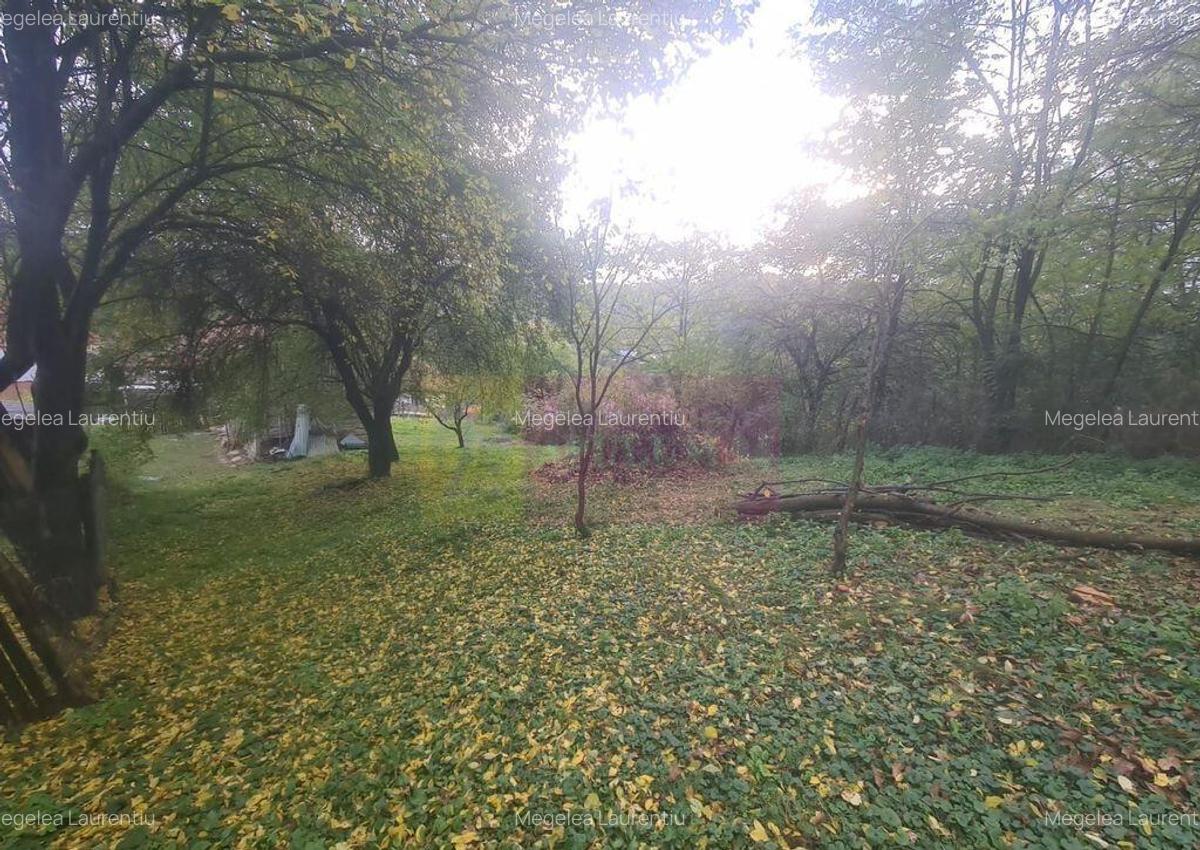 Casa batraneasca cu teren (4.910 mp) la Alunis - 18