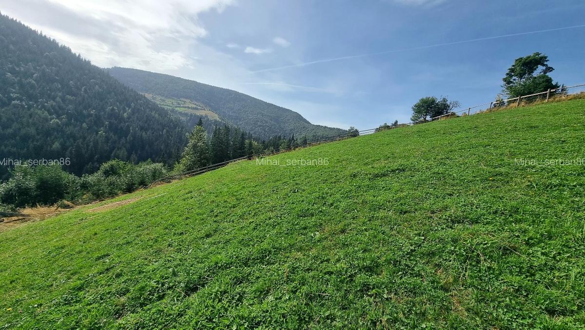 Vand teren la munte pentru cabana - 5