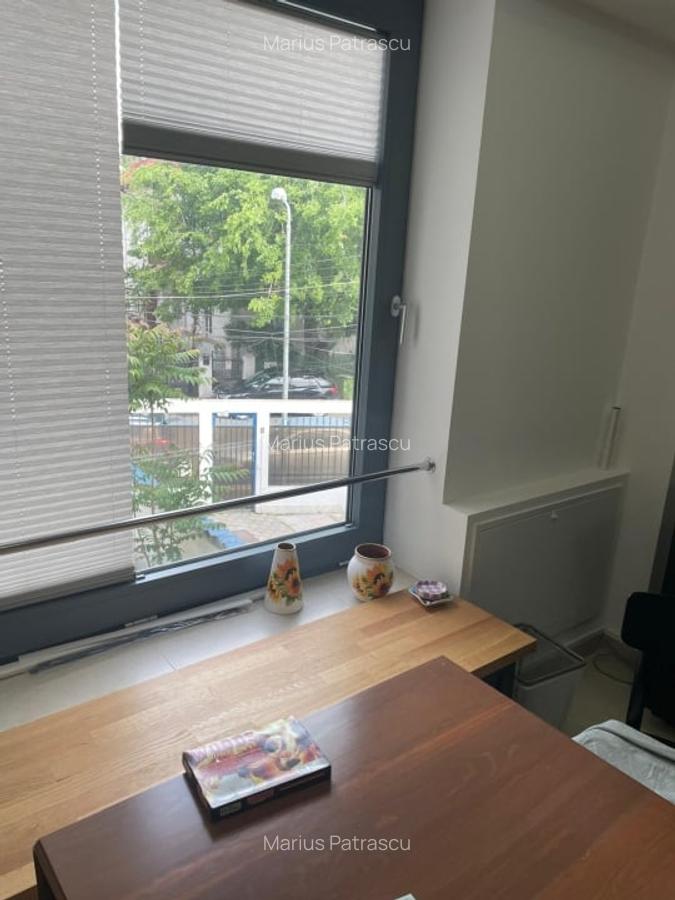 SPATIU DE INCHIRIAT TIMURI NOI-TINERETULUI - 9