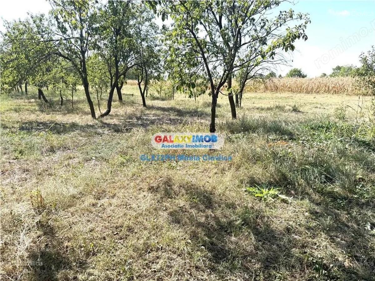 Vanzare teren intravilan Baicoi Central - 5 Vanzare teren intravilan Baicoi Central - 5