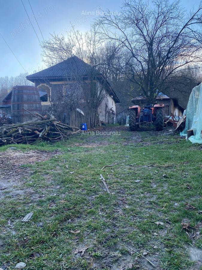Vand casa cu teren in Vi?ine?ti, Dambovi?a zona lini?tita, natura, aer curat - 4