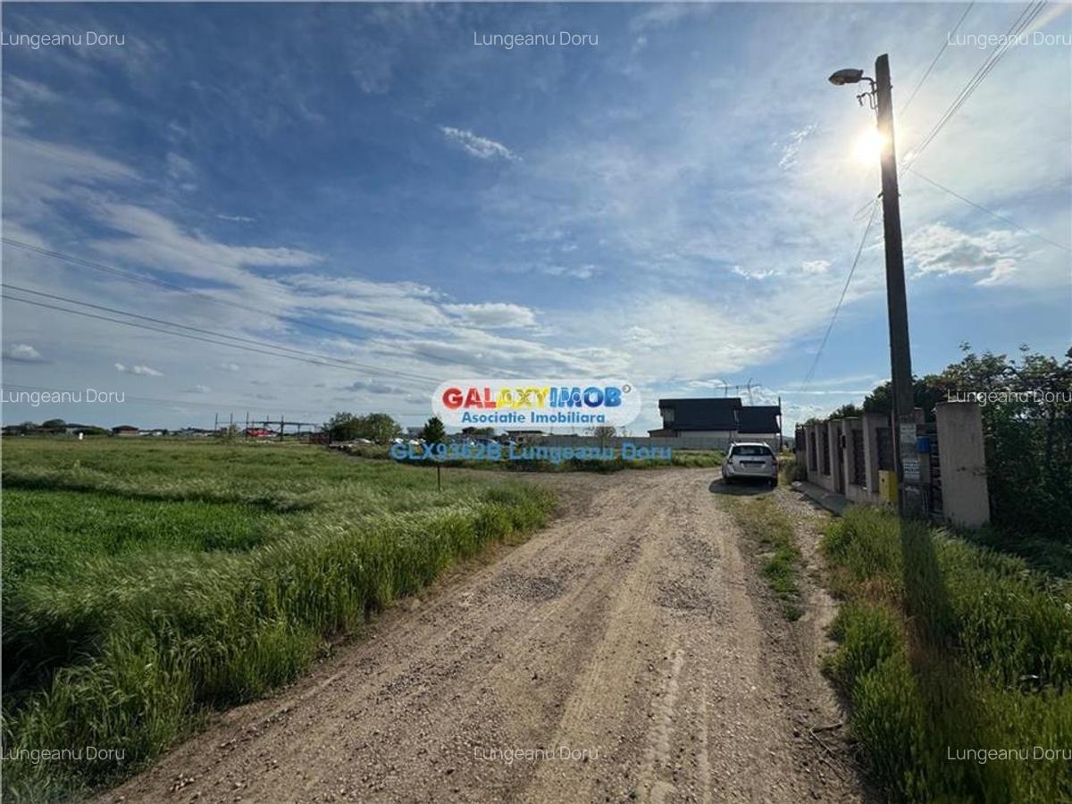 Teren intravilan 1622mp, Lidl Berceni, Utilitati Gaz Electric, 50E mp - 1