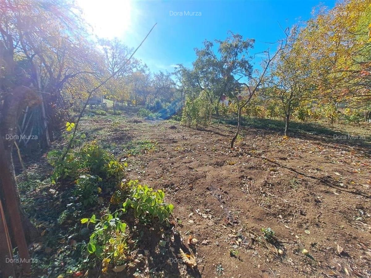 RECO casa - zona Oncea - 22