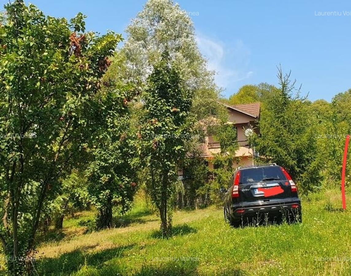 Zona Slanic Prahova,in mijlocul naturii - 15