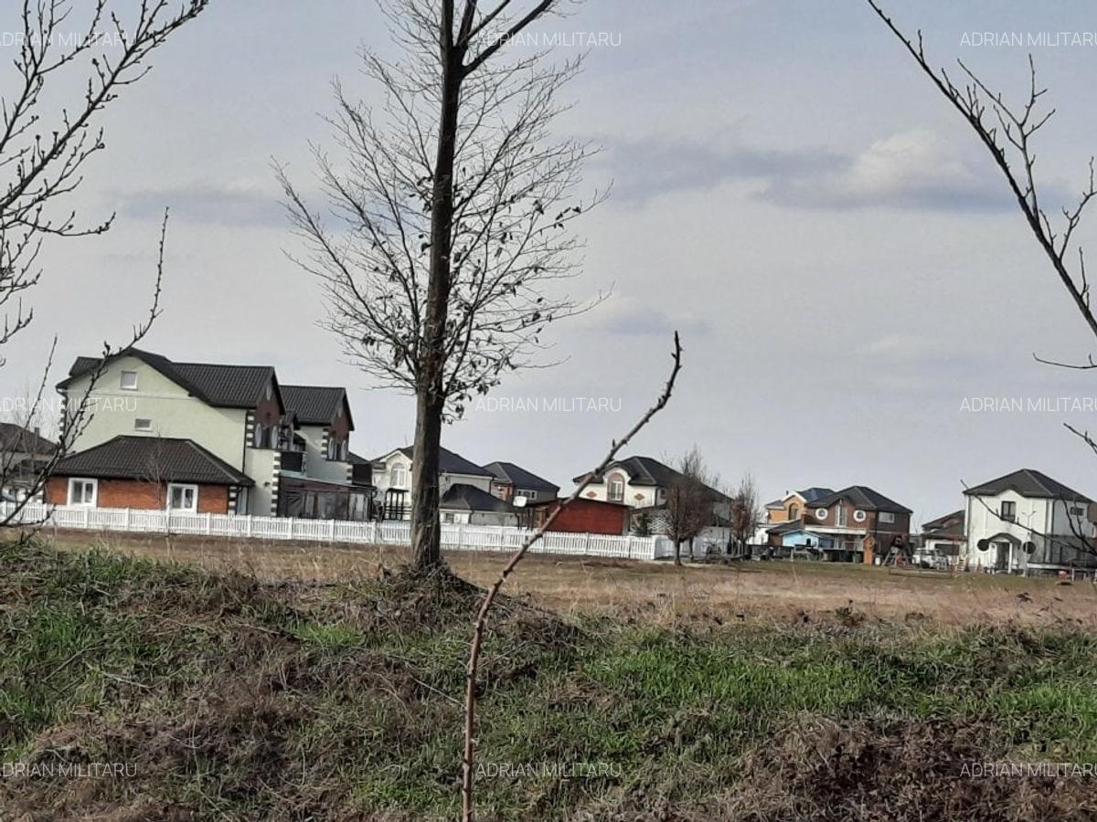 Teren Corbeanca- Ostratu- langa padure - zona cu aer curat si liniste - 1