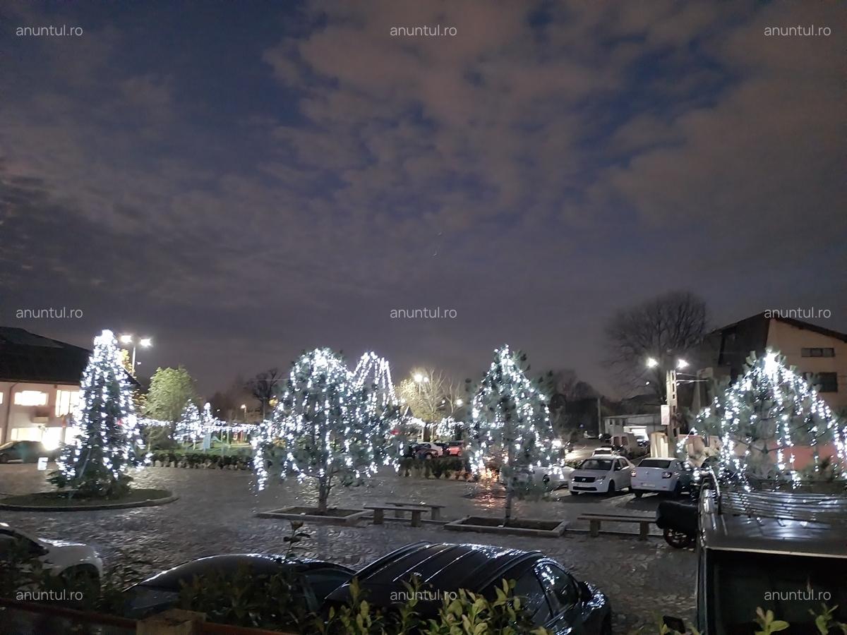 Orhideelor, Dudu, Chiajna - 5