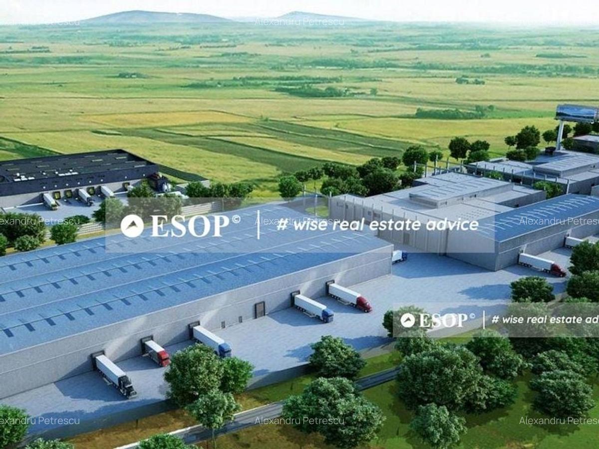 NGB Distribution Center, depozitare, productie, 2.000 - 12.000mp - 3