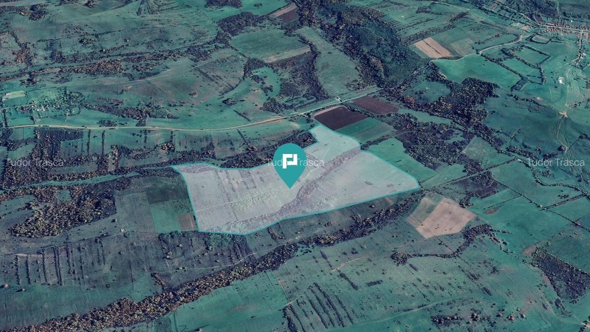 Teren de 87 Hectare de Arendat în Bara, Timiș - 2