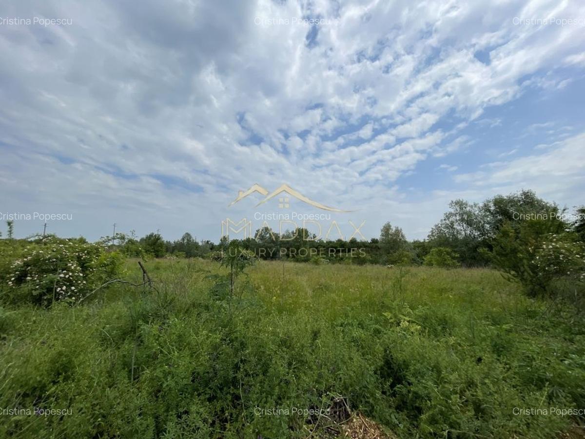 Teren intravilan***1439 mp***Cretesti-Vidra-Ilfov - 20