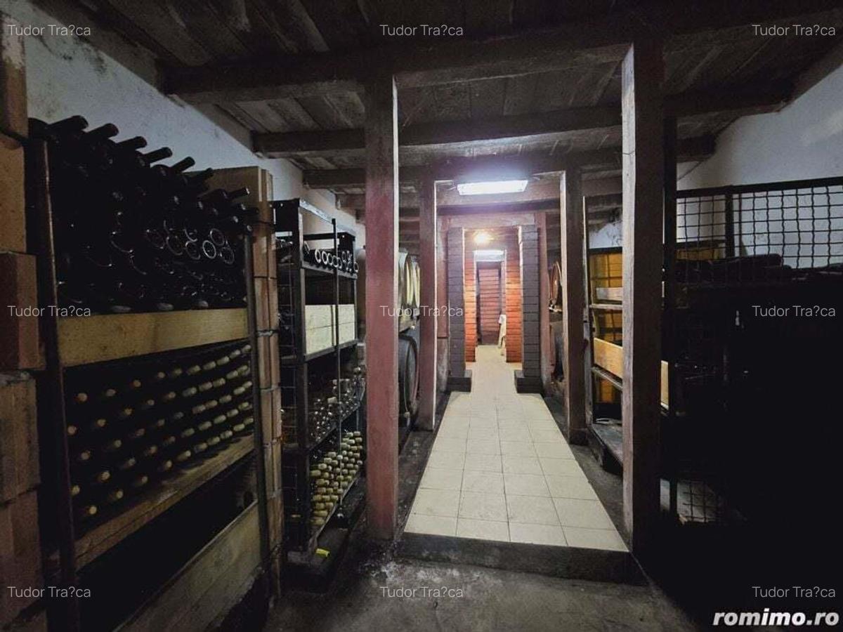 Vie Tradi?ionala Halta Lupilor - 7 Vie Tradi?ionala Halta Lupilor - 7