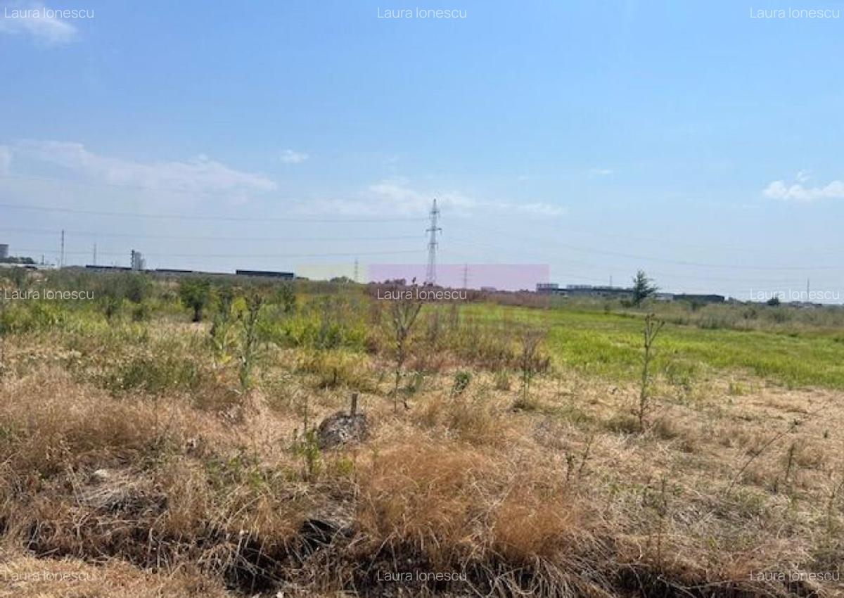 Teren Domnesti- Fortului. - 2