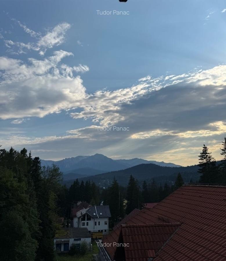 Vilă Predeal, zona Cioplea – 1000 m² teren, vedere Bucegi și pădure - 14