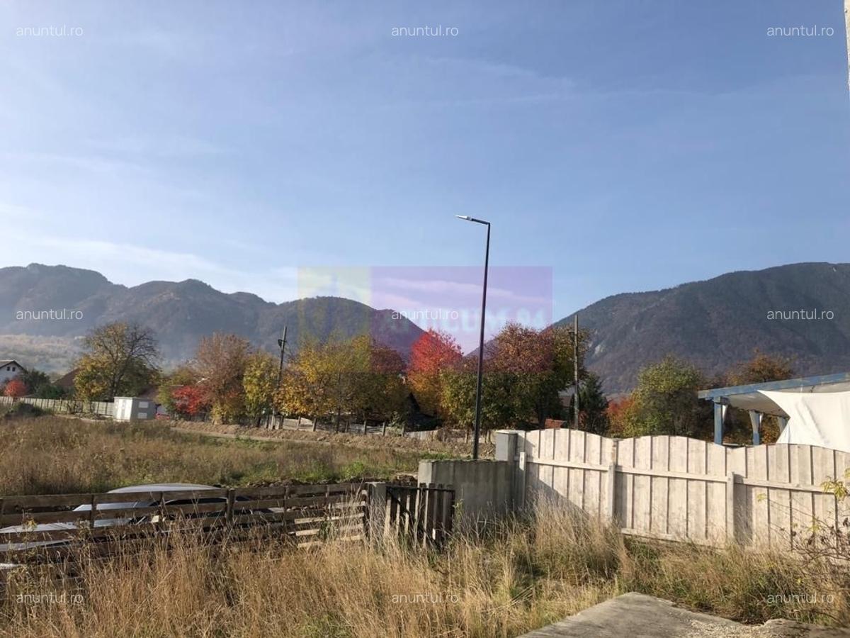 Vila la rosu Zarnesti- Mitropolit Metianu cu vedere superba spre munte - 20