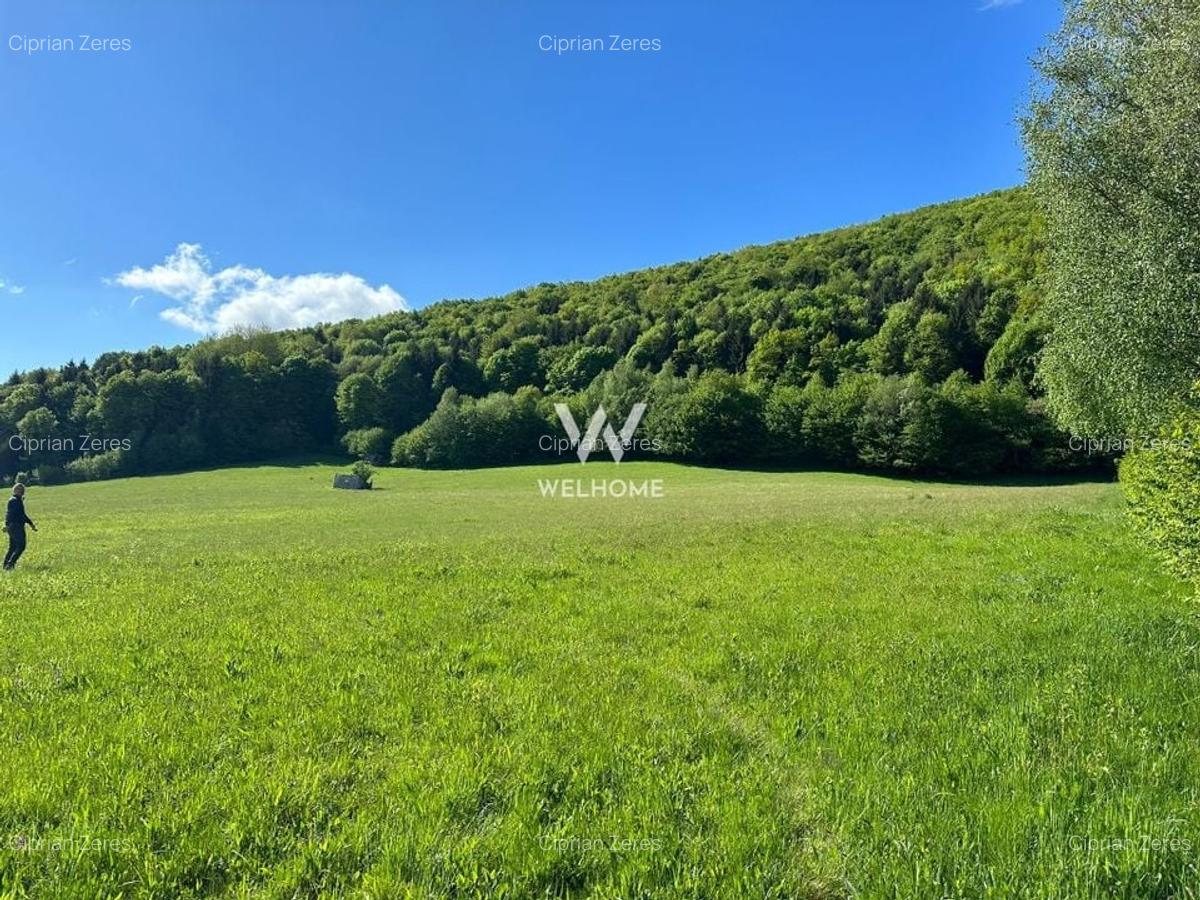 Teren Intravilan in Tocile-priveliste deosebita - Sadu - Sibiu - 1