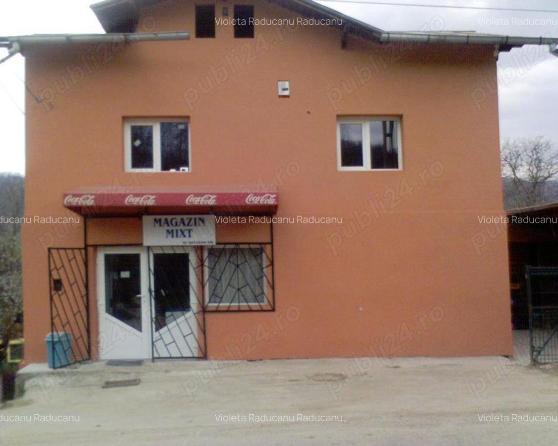 Casa de vanzare in Comuna Bezdead sat Magura Jud Dambovita - 4