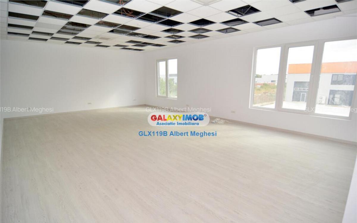 Hala 482 mp Chiajna Centura - 8