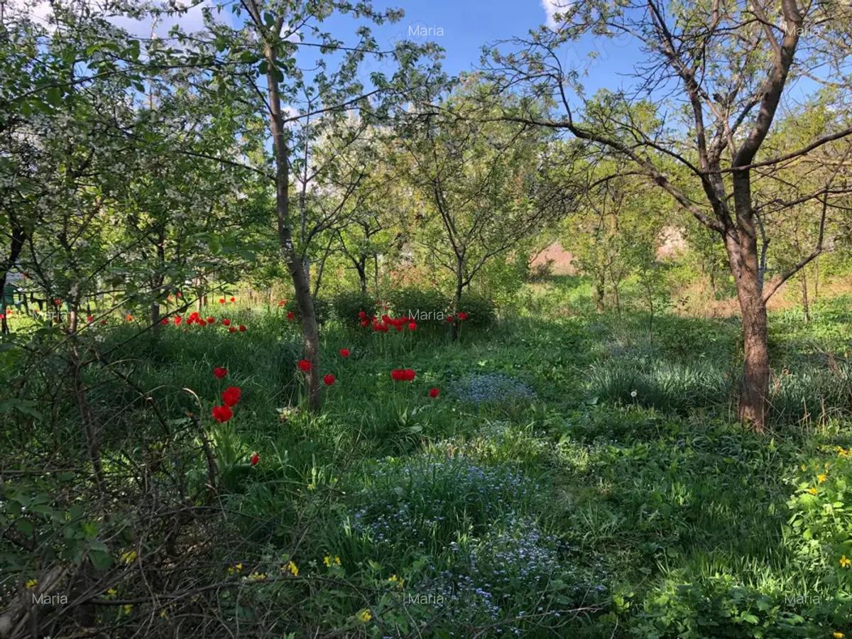 Teren si casa de vanzare - 1969mp - 2