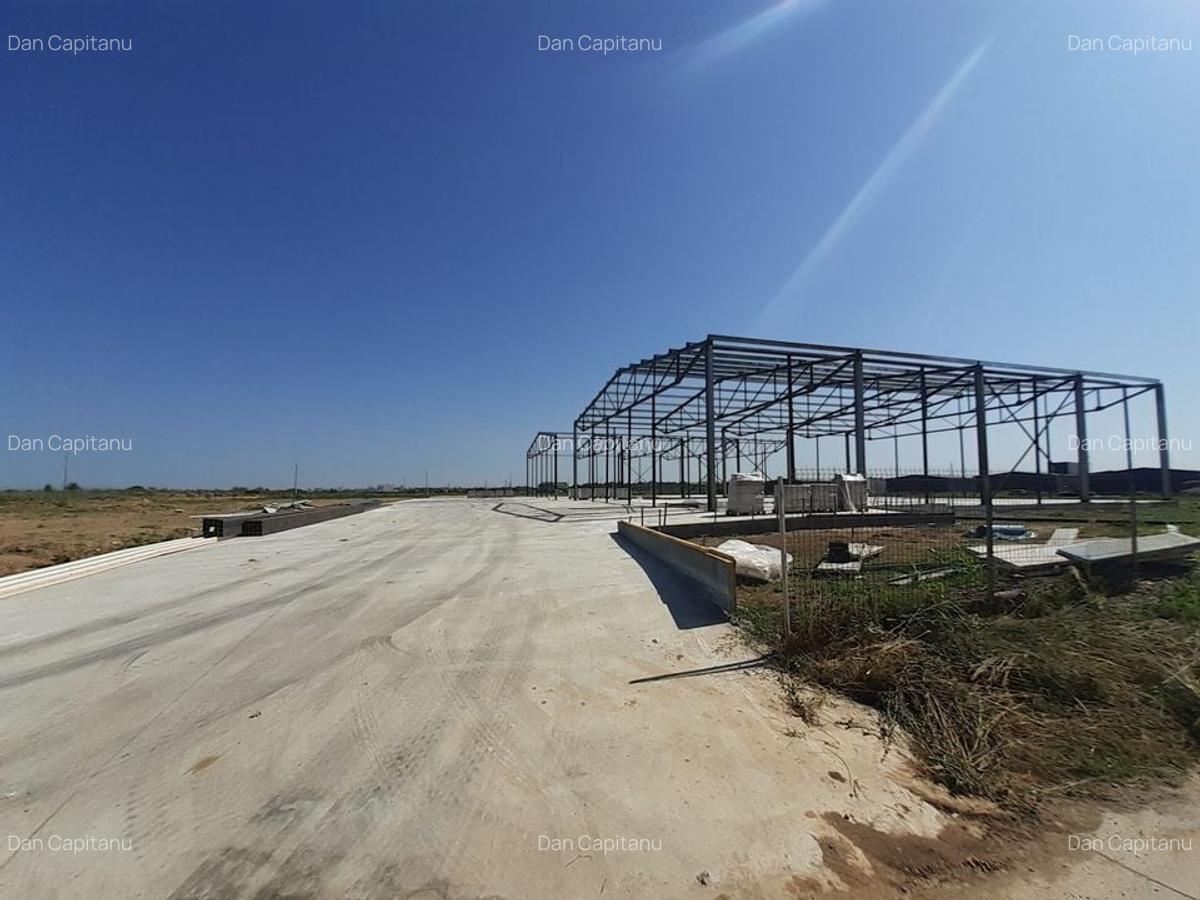 Hale noi in zona Gara Catelu, Drumul Intre Tarlale - 3