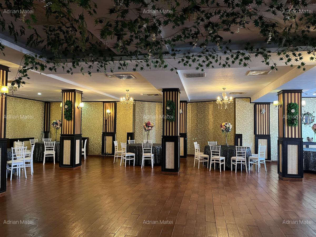Vila Rezidentiala + Complex HoReCa/ 3535mp curte / 2330mp utili - 16