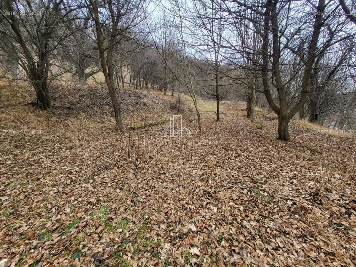 Teren de vanzare intravilan, 10 000 Mp , Sighisoara - 3