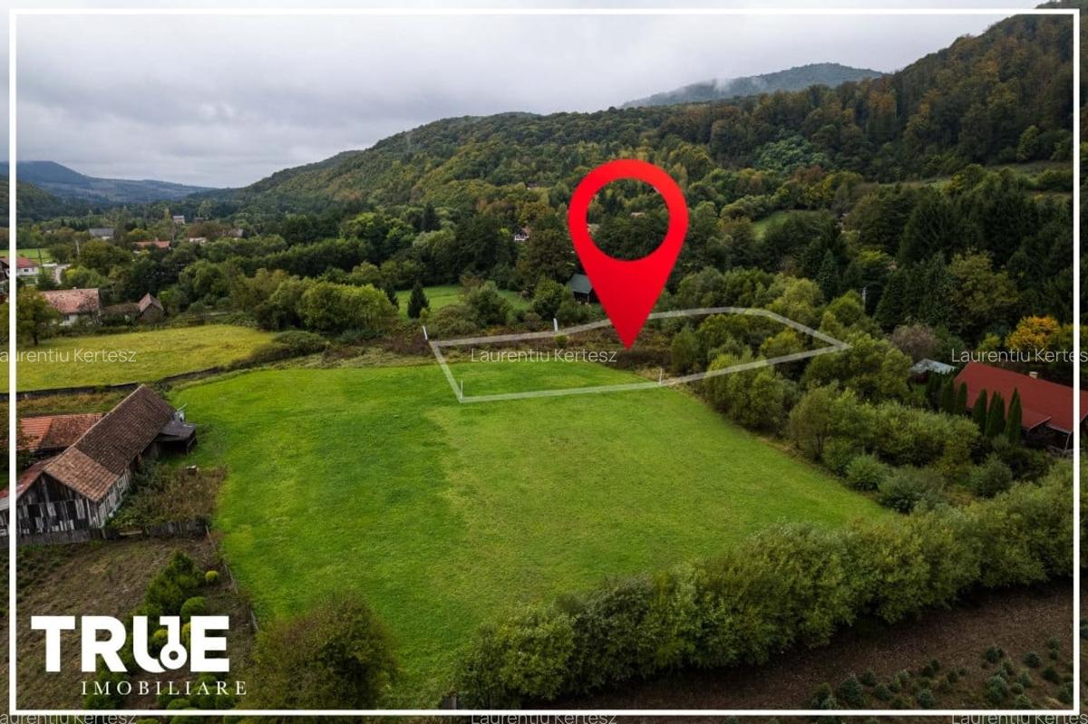 Teren intravilan Câmpul Cetății 2600m? - zonă de vacanță - 4
