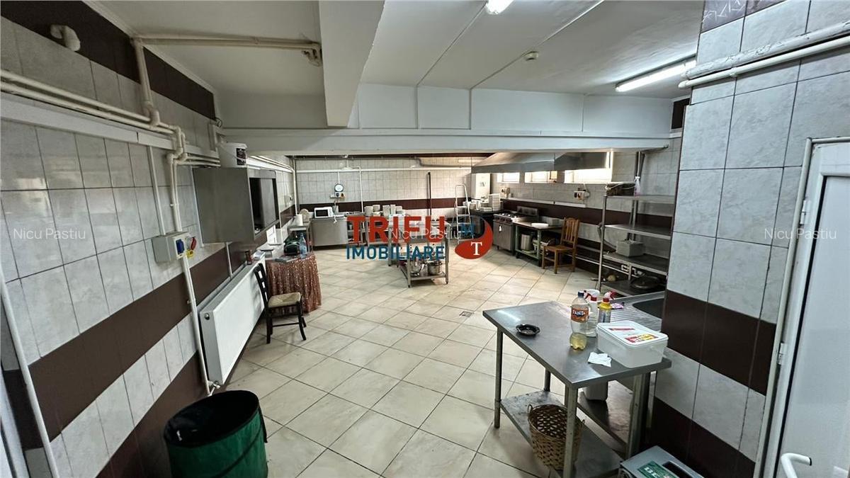 Sala de evenimente de vanzare cu teren de 4263mp - 12