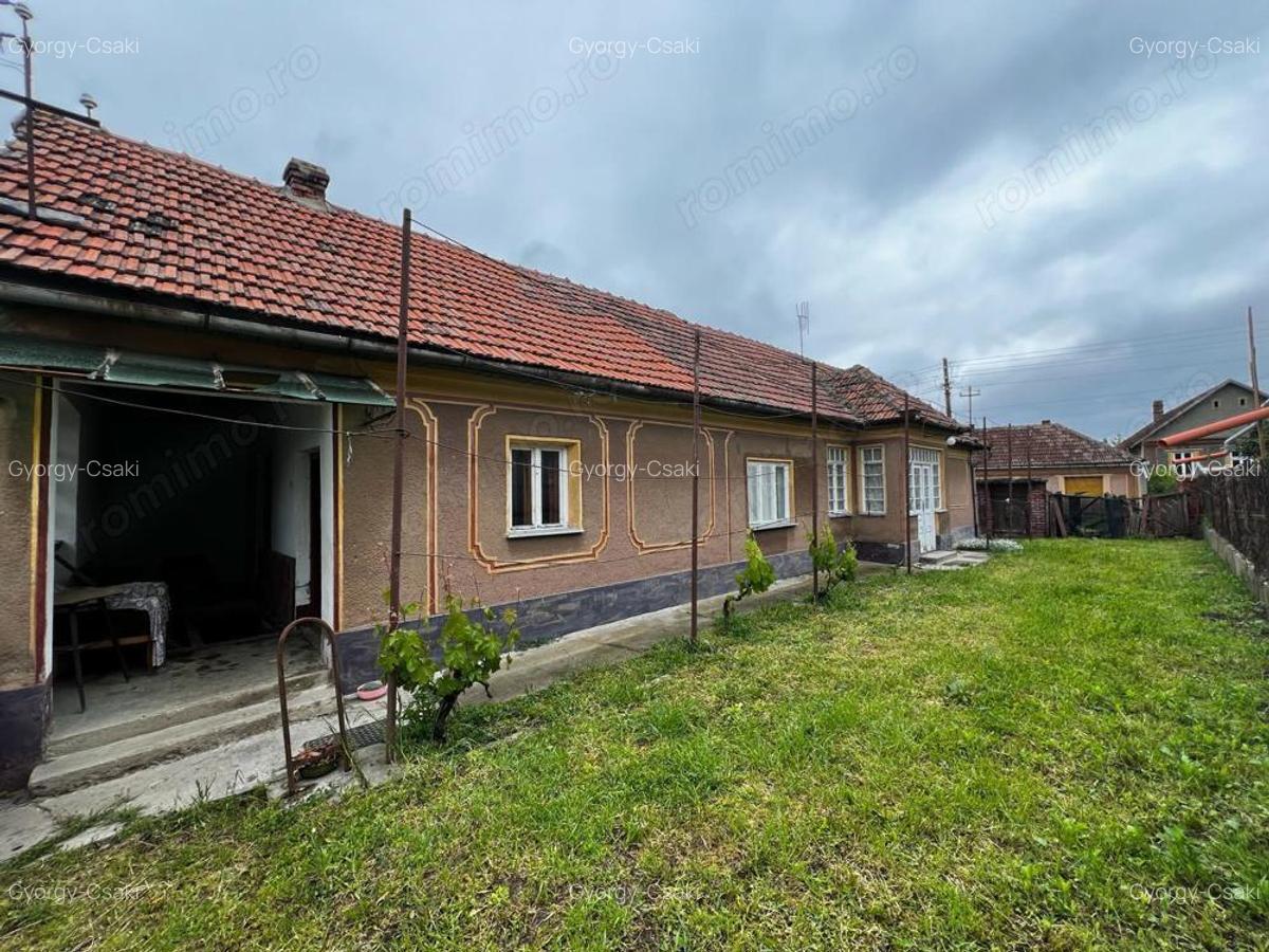 Casa sanatoasa cu teren 3000 mp - Sisterea - IMOBIHOR - 2