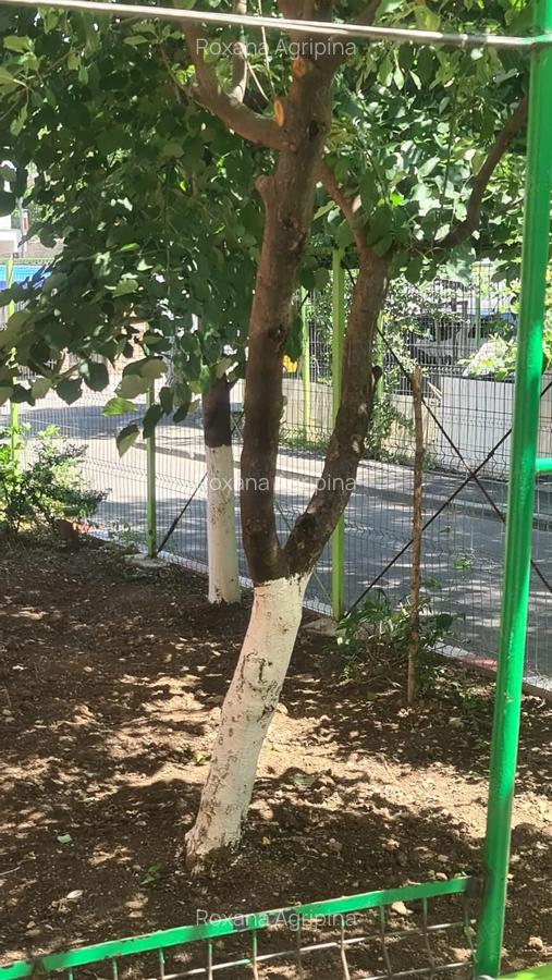 Vand apartament 2 camere cf 3 zona Rahova Zabrauti - 5