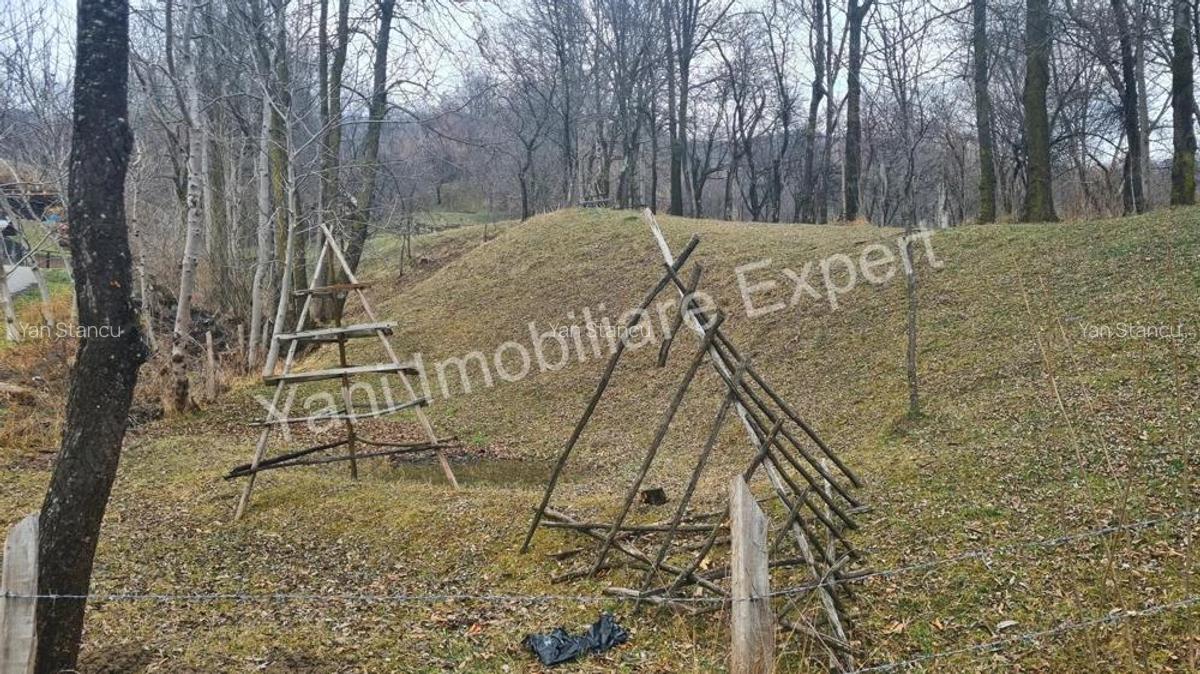Teren de vanzare in comuna Arefu, jude? Arge?. - 20