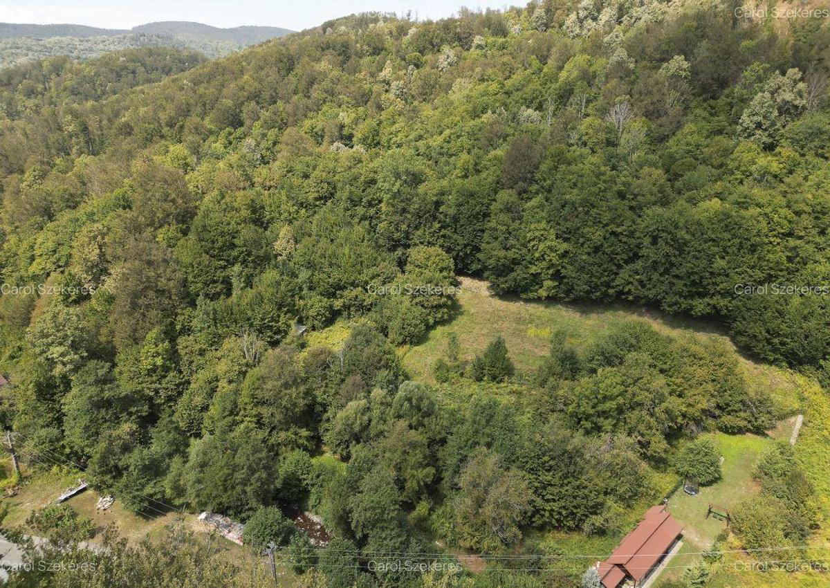 Teren intravilan de 1500 mp pe deal in Moneasa - 6