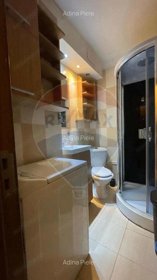 Apartament cu 1 camera de inchiriat in zona Brazda lui Novac - 10