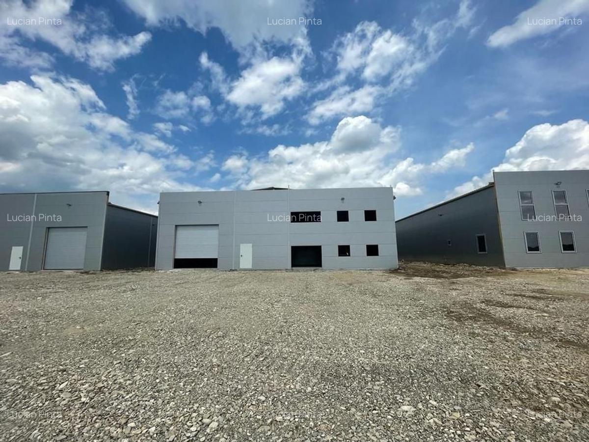 HALA NOUA depozitare si spatiu de birouri RUDENI - 6