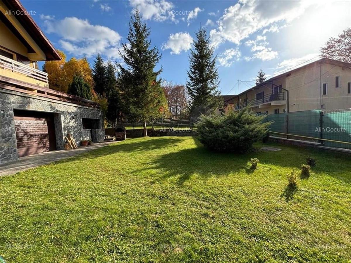Vila Exclusivista Piatra Arsa Busteni - 17