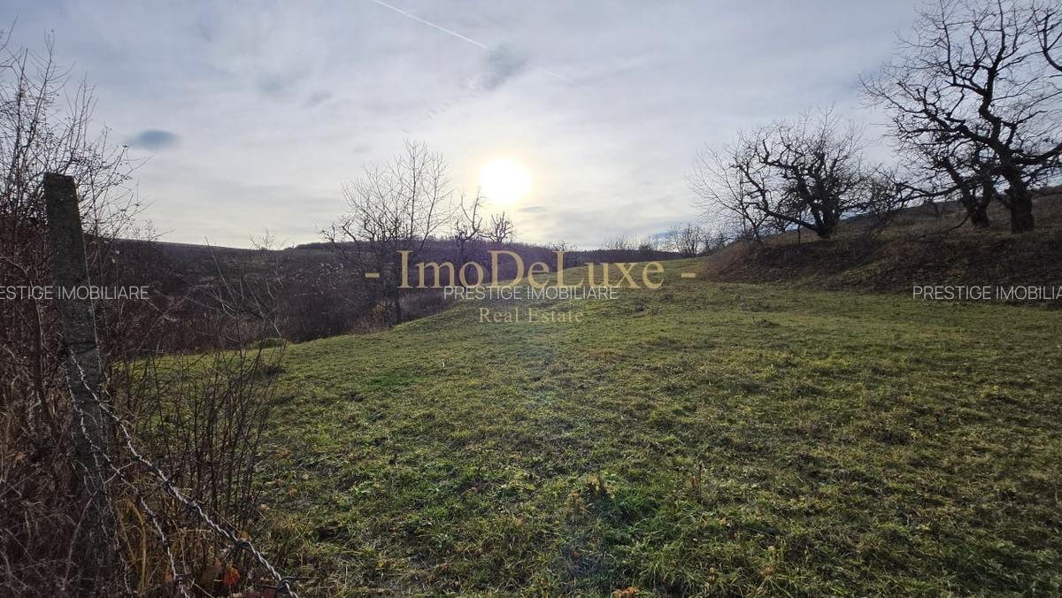 Teren extravilan langa lac, 8500mp, priveliste, acces, utilitati, zona Baciu - 6