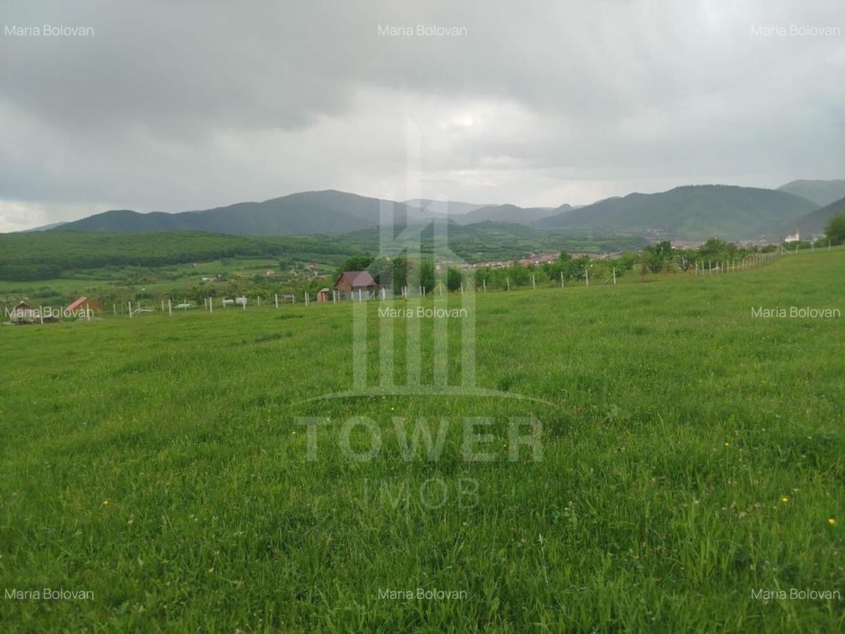 Teren de vinzare in Tropini Vechi - 6