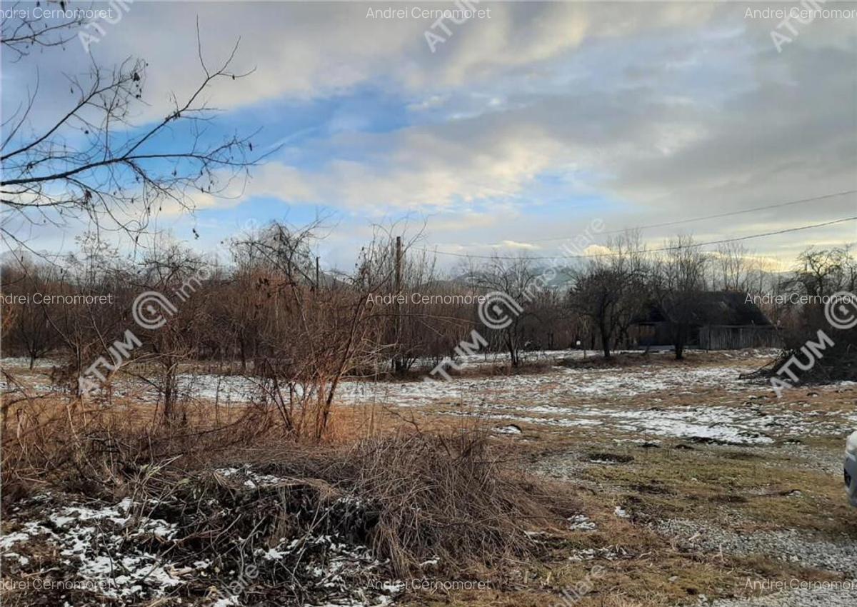 Teren intravilan 1000 mp de pe Valea Avrigului - 2
