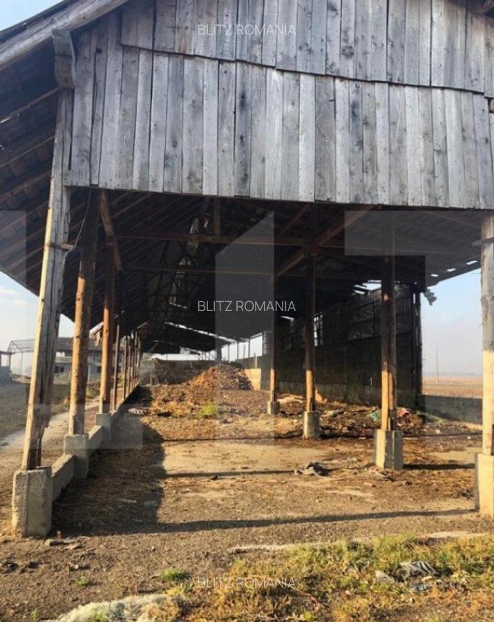 Ferma de vanzare in jud. Covasna, suprafata teren 4824 mp - 8 Ferma de vanzare in jud. Covasna, suprafata teren 4824 mp - 8