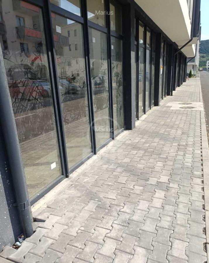 Spatiu comercial de vanzare, Terra - 2