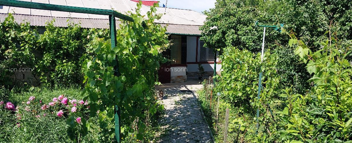 Casa si teren 1600mp gorneni gr 100 metri dn6 30km de pta. unirii - 8