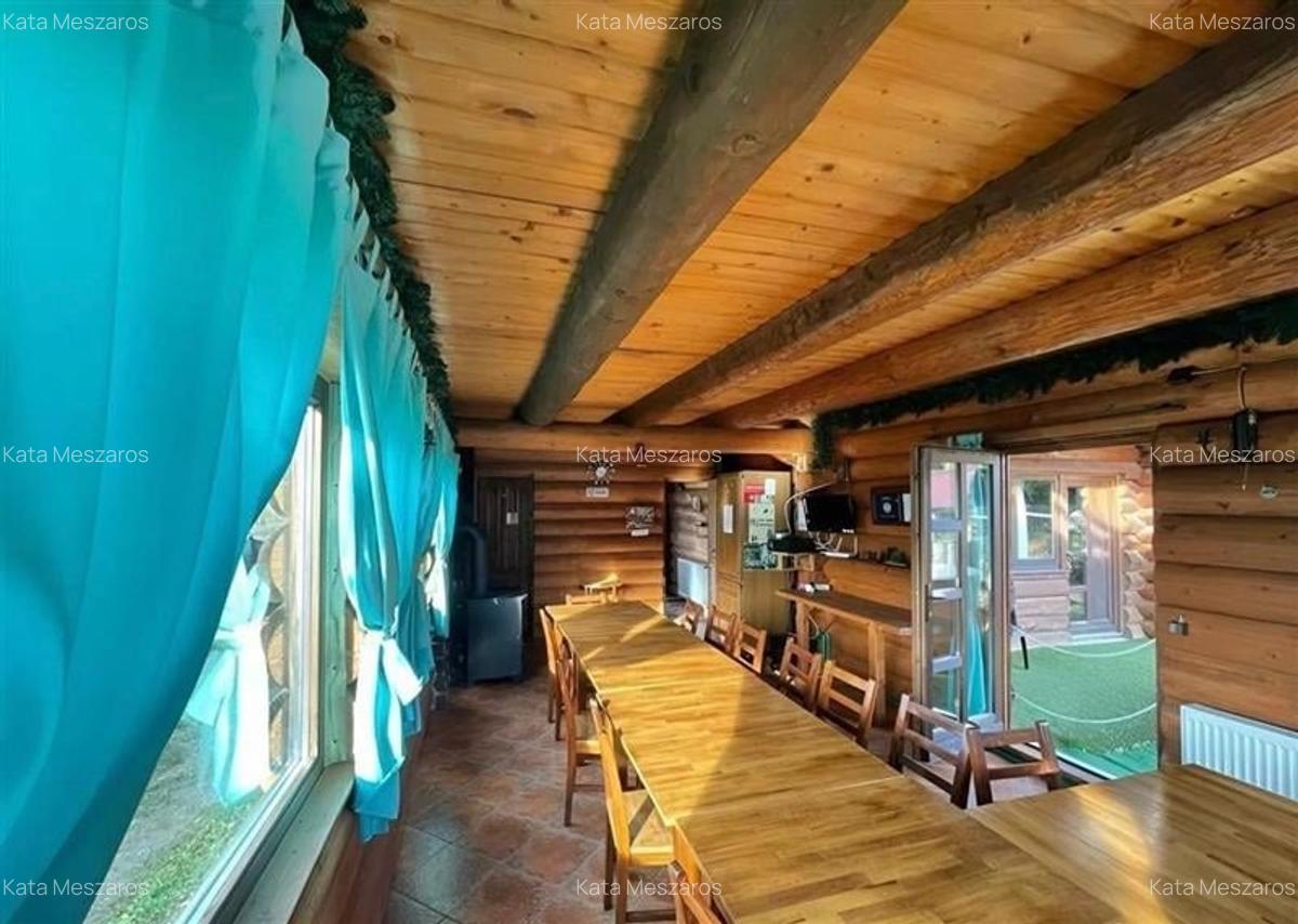 FILM! Resedinte montane,mobilate,echipate, jacuzzi,piscina,pretios areal,Sambata - 21