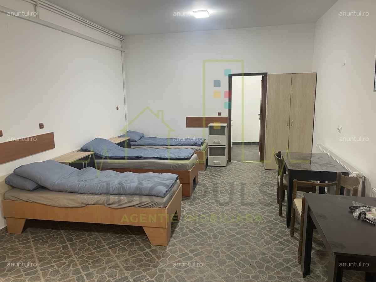 Dumbravita. Casa Pretabil cazare muncitori/birouri/sediu firma. 17 Camere.7 Bai - 1